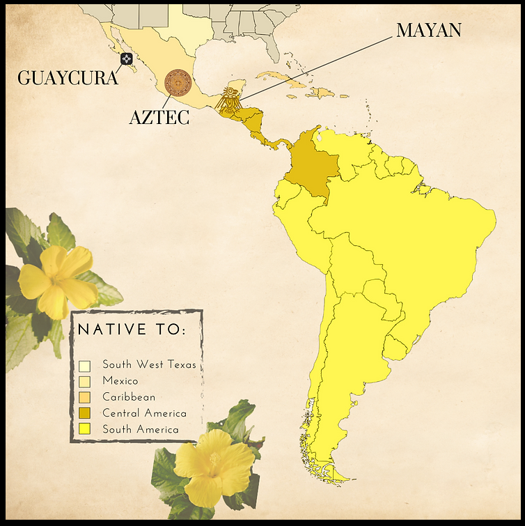 A Map showing damiana locations