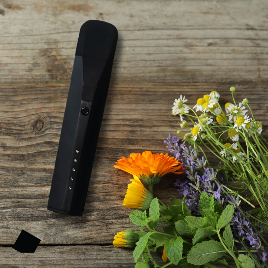 Mixturus portable herbal vaporizer placed next to dried lavender, chamomile flowers, and mint leaves