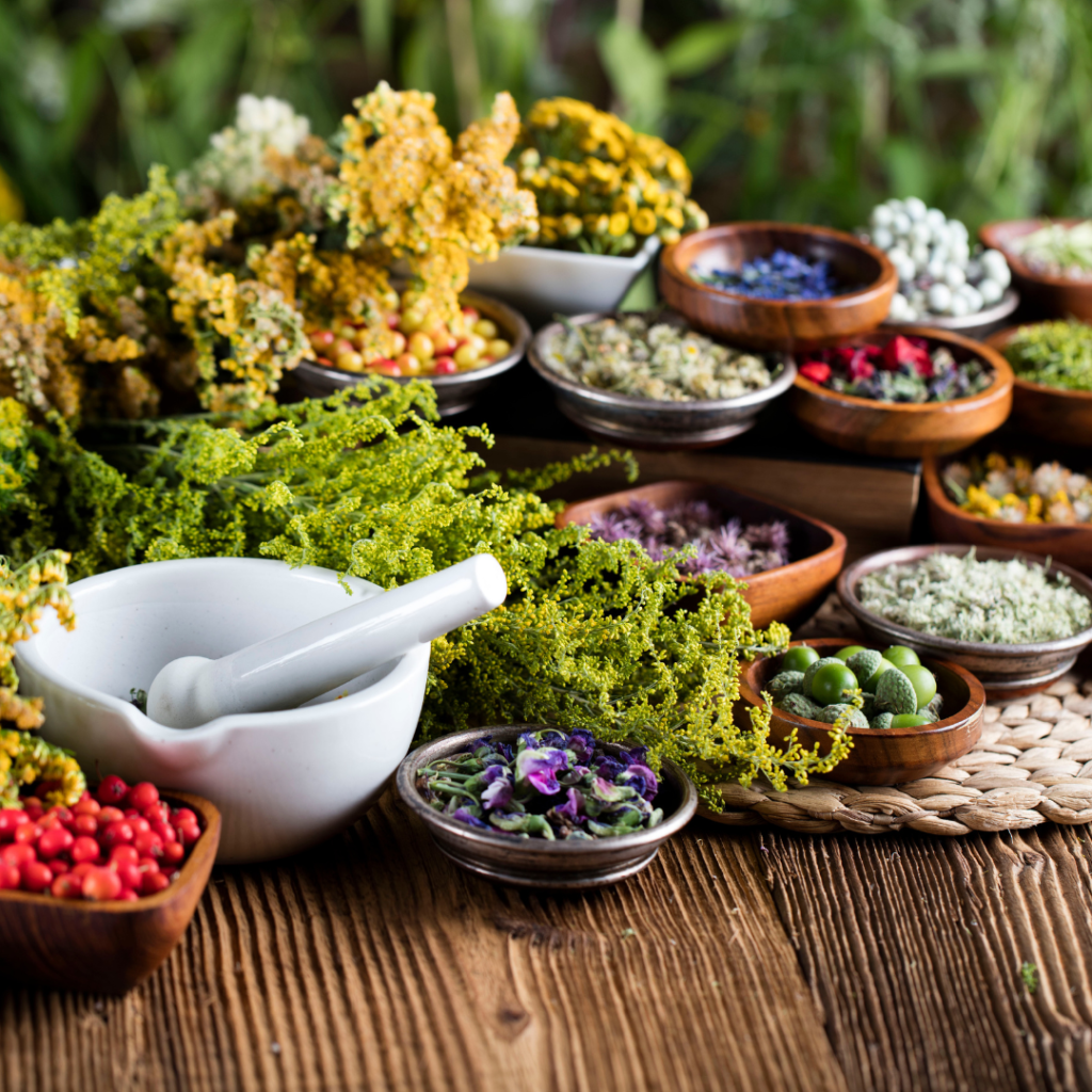 herbs and spices, global herbal traditions; PC: Zolnierek from Getty Images