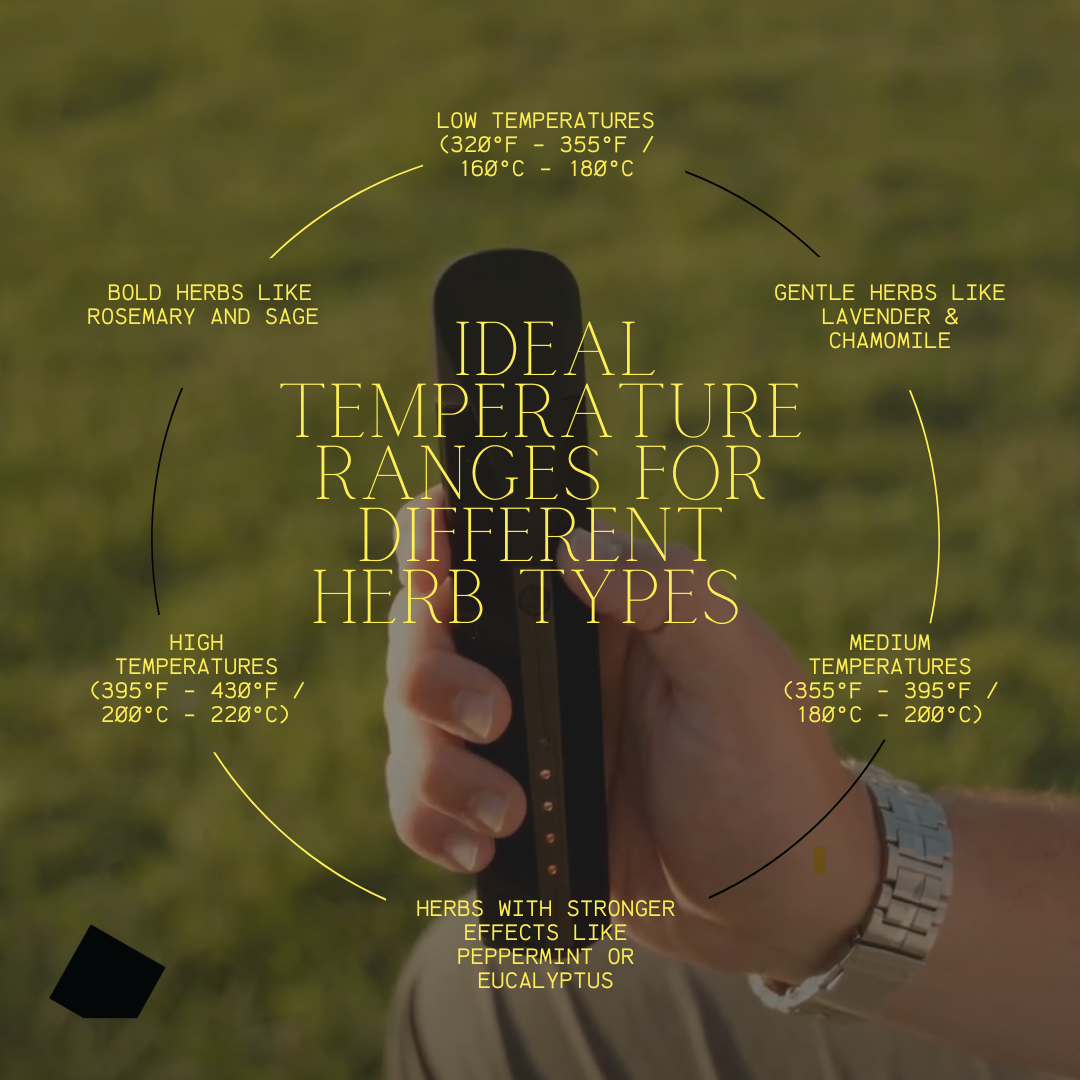 ideal temperature ranges for different herb types infographic